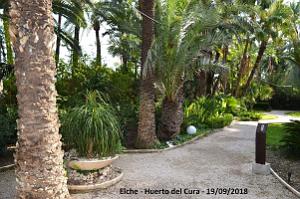19 ELCHE HUERTO DEL CURA (60)